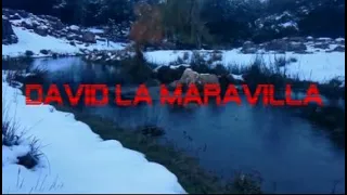 DAVID LA MARAVILLA  - LASTIMASTE MI CORAZON -