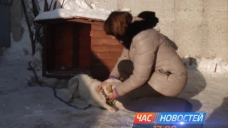 Анонс "Час новостей" (02.02.2017  17:00)