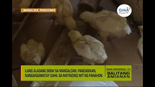 Balitang Amianan: Epekto ng Tag-init