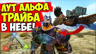 Лут АЛЬФА ТРАЙБА на КЕТЦАЛЕ В ARK! Враг ХОЧЕТ ПвП В НЕБЕ! PVP в АРК!