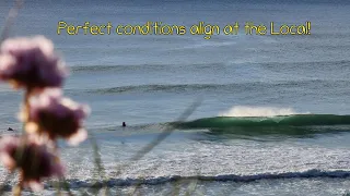 KH: SUMMER swell Surfing. WAVES + SUN= PERFECTION more could you ask for?