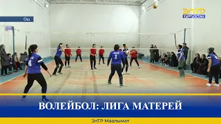 ВОЛЕЙБОЛ: ЛИГА МАТЕРЕЙ