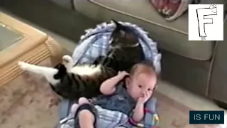 Малыш и кошка