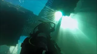 Diving inside a harbor!