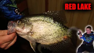 Red Lake Crappies Are BACK! (Overnight Camping)