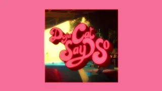 say so doja cat - instrumental 1 hour loop