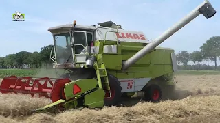 Claas Dominator 96 in de zomergerst