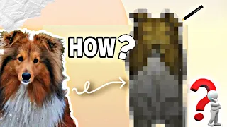 туториал на БУМАЖНУЮ СОБАКУ?!🐶 // шелти стала бумажкой 😱