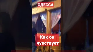 ОДЕССА❗️КАК ОН ЧУВСТВУЕТ❗️31.05.2023 #одесса #odessa #аркадия