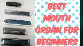 Best mouth organ for beginners | Hindi