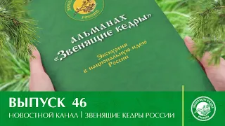 Новостной канал "Звенящие кедры России" | Выпуск 46 от 27.11.2020