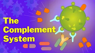 The Complement System Made Easy