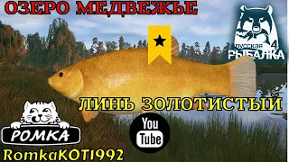 🎣Русская рыбалка 4  ОЗЕРО МЕДВЕЖЬЕ (Пробуем поймать ЛИНЯ ЗОЛОТИСТОГО⭐️)🎣