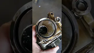 A wet belt killed the engine 1.0 ecoboost Ford