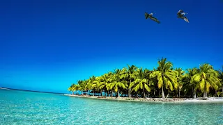 Placencia Belize 2022