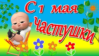 С 1 МАЯ ПОЗДРАВЛЕНИЯ. ПОЗДРАВИТЬ С 1 МАЯ.