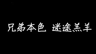 兄弟本色 迷途羔羊 歌詞