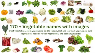 Vegetable Vocabulary|170 vegetables in english|vegetable names with images|vegetable for preschooler