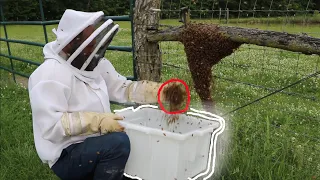 Natural Bee keeping in a Horizontal Hive works Too GOOD!