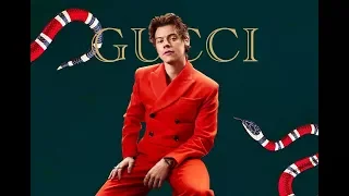 Harry Styles - Gucci