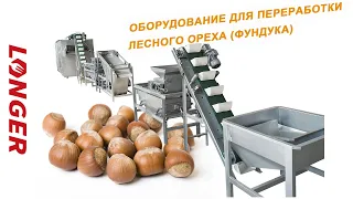 оборудование для переработки лесного ореха/ Шелушитель для фундука