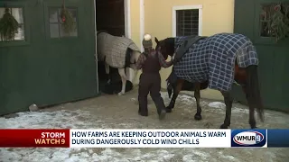 Farms keep outdoor animals warm during dangerous cold