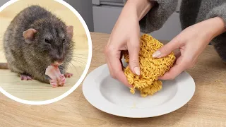 Wystarczy zupka chińska. Ten trik PRZEGONI szczury i myszy!