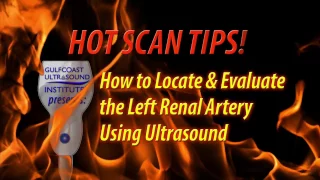 Hot Tip-How to Locate and Evaluate the Left Renal Artery Using Ultrasound