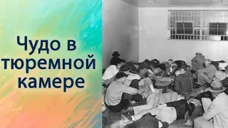 Чудо в тюремной камере -  Вячеслав Бойнецкий