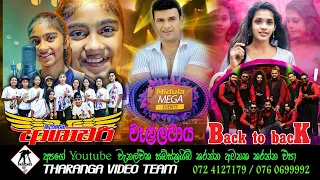 Ashawari & Back to Back Attack Show 2023 | බෑක් ටු බෑක් & ආශාවරී 2023