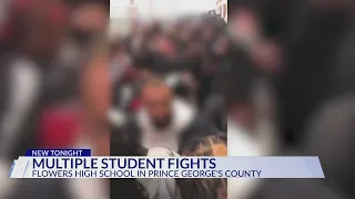 Multiple student fights