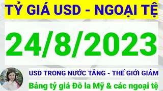 Tỷ giá USD - Ngoại tệ hôm nay ngày 24 tháng 8 năm 2023 || Tỷ giá Đô la Mỹ hôm nay ngày 24/8/2023