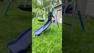 swing  and slide  and  trampoline