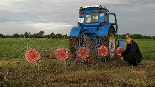 Все буде Україна! Корови в Україні, вивести легко нажити тяжко...