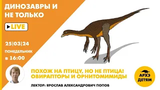 Занятие "Овирапторы и орнитомимиды" кружка "Динозавры и не только" с Ярославом Поповым