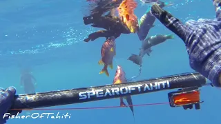 Spearfishing in Tetiaroa with SpearofTahiti. Part.2     Fishing in Tahiti / French Polynesia