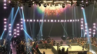 11/24/2019 WWE Survivor Series (Rosemont, IL) - NXT Women's Champion Shayna Baszler Entrance
