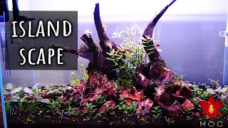 Making an Island Aquascape - Trying the dark start method (does it work? 🤔)