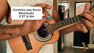 7 Músicas fáceis com 4 ACORDES para CAVAQUINHO