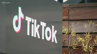 Teachers concerned over new TikTok challenge