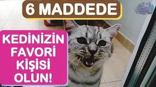 Kediler Hangi İnsanlara Giderler? - Evde Kimi Sahibi Olarak Görür?