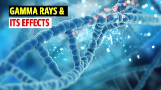 What are Gamma Rays and its effects