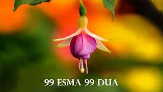 99 Esma 99 Dua | Son Kitap | Kuran Terapi Şifa Noktası