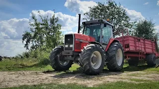 Prace pożniwne | T-25 & Zetor Forterra & 3x Massey Ferguson |RożnicaTeam