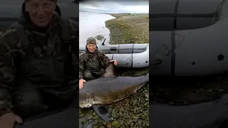 В области Якутии нашли акулу