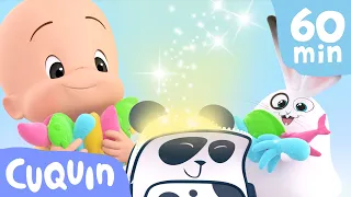 Cuquin's Panda Bag 🐼 and more educational videos | videos & cartoons for babies