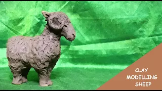 CLAY MODELLING SHEEP