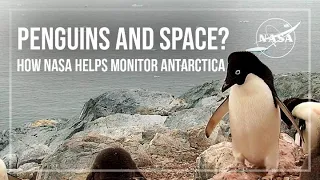 Penguins and Space? How NASA Helps Monitor Antarctica