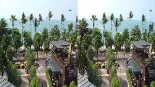 Fujifilm FinePix REAL 3D W3 Video Sample 3D Shown in 3D & Review