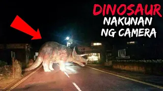 10 Dinosaur na Nakuhanan ng Camera / 10 Dinosaurs Caught on Camera | Historya